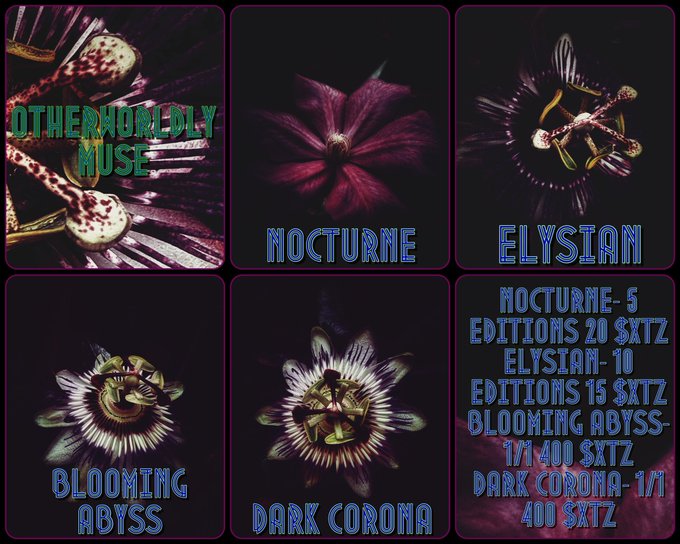 A dark floral NFT-style collection poster advertises “Nocturne,” “Elysian,” “Blooming Abyss,” and “Dark Corona,” with edition counts of 5, 10, 15, and 1/1 respectively.