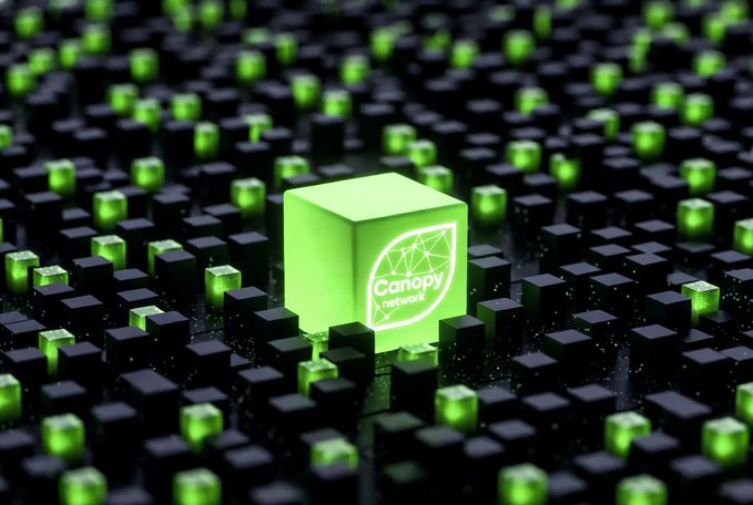 A 3D-rendered illustration of a glowing green cube displaying the 'Canopy Network' logo standing among many dark cubes on a digital grid.