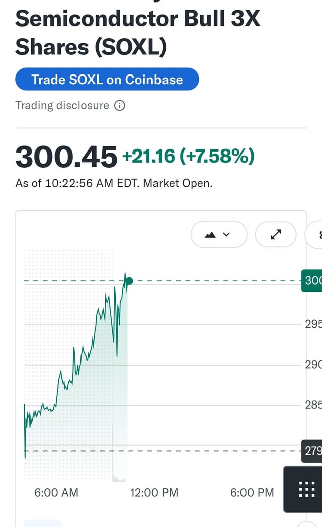 The image shows a screenshot of an app with a white background, displaying information about the trading of semiconductor bull shares (SOCX). The main focus of this information is a graph that tracks a price movement for the shares over time. The current value of the shares is $300.49, which indicates that they are above their previous lowest point and have been steadily increasing throughout the period shown in the screenshot. This information could be relevant to understanding how the market views these shares or if there's any significance to this particular price movement.