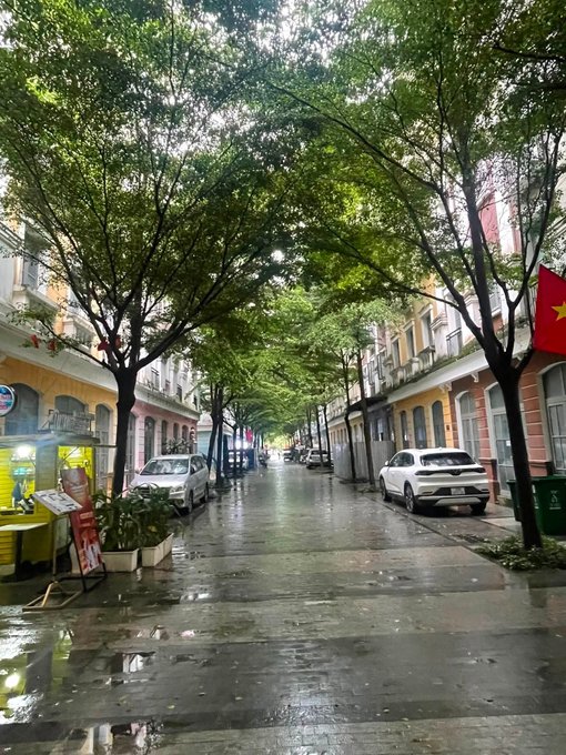 A tree-lined wet street with European-style buildings, parked cars, and small shop kiosks on the left side.