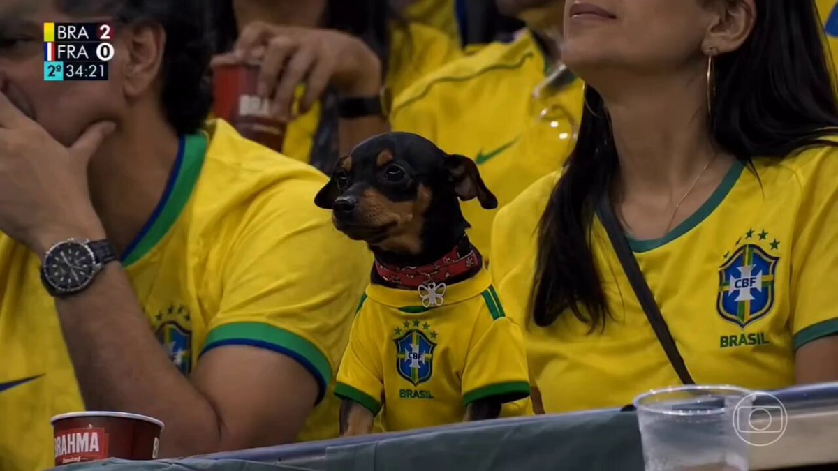 The image features a small dog wearing a yellow shirt with the colors of Brazil, sitting next to its owner who is seated at a table. The dog appears to be looking up at something or someone above them. In the background, there are several people present, some of whom might also be attending the same event as the dog and its owner. A cup can be seen on one side of the image, possibly belonging to the person sitting next to the dog.