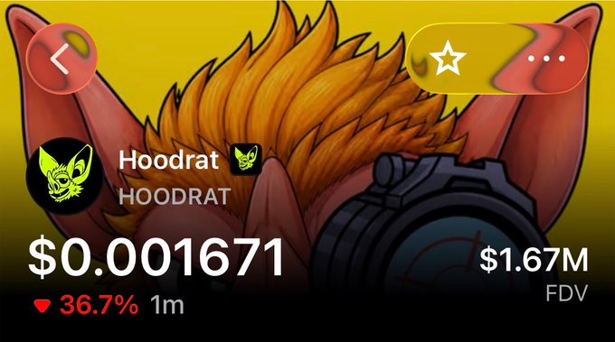 The image shows a meme coin tracker display for "Hoodrat" (HOODRAT) priced at $0.001671 with a $1.67M FDV and a 36.7% increase, featuring a stylized bat/rat character illustration. This relates to the post about the @hoodrat_coin free mint collection drop and concerns raised by Matt Furie regarding the artwork used for the project.