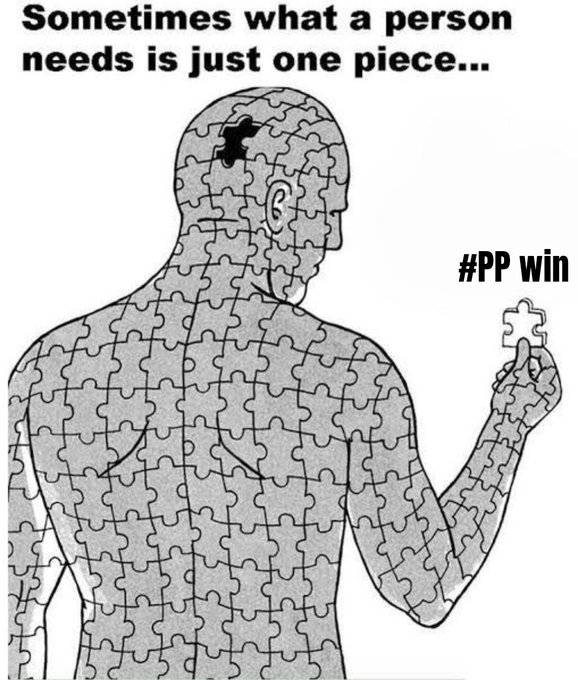 Motivational meme depicting a human figure made of puzzle pieces with text 'Sometimes what a person needs is just one piece...' and the hashtag '#PP win'.