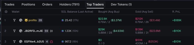 A screenshot of a Top Traders leaderboard showing wallet rankings with SOL balances, bought/sold averages, and realized PnL figures, including top wallet 'profits' with +$189K PnL.