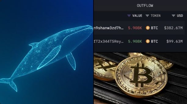 A wireframe whale graphic paired with golden Bitcoin coins illustrates a dormant whale wallet that transferred 5.908K BTC ($382.67M) to address "t2x34dTSRey..." after 8.5 years, realizing a 284% gain from its $16,800 cost basis.