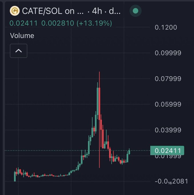 A candlestick chart of CATE/SOL on a 4-hour timeframe shows the token's price spike from ~$0.02 to nearly $0.08 (around $80M market cap) before crashing back down to $0.02411 (+13.19%), illustrating the post's description of the "pump and dump" followed by a minor rebound.