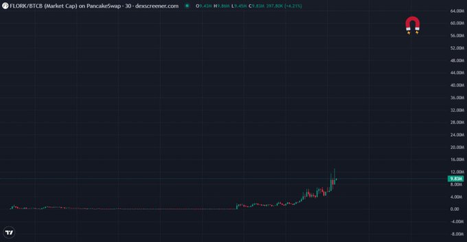 A PancakeSwap chart showing FLORK/BTCB Market Cap on a 30-day monthly view, currently priced around 9.80M.