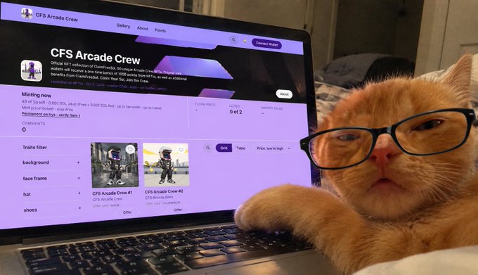 An orange tabby cat wearing glasses rests its paw on a laptop keyboard displaying a webpage titled 'CFS Arcade Crew'.