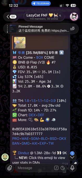 A screenshot of a Telegram group chat titled "LazyCat FNF" with a pinned message analyzing a new BNB token, displaying market metrics like $35.1M FDV and a contract address.