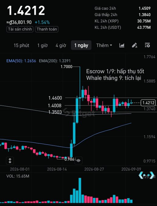 A 1-day XRP/USDT candlestick chart on BingX showing a price of 1.4212 (≈$36,801.90, +1.54%), with Vietnamese text "Escrow 1/9: hấp thụ tốt Whale tháng 9: tích lũy" overlaid on the chart.