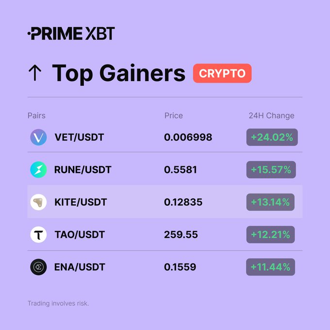 A screenshot from PrimeXBT showing the 'Top Gainers' in crypto, with VET/USDT leading at +24.02% followed by RUNE/USDT, KITE/USDT, TAO/USDT, and ENA/USDT.