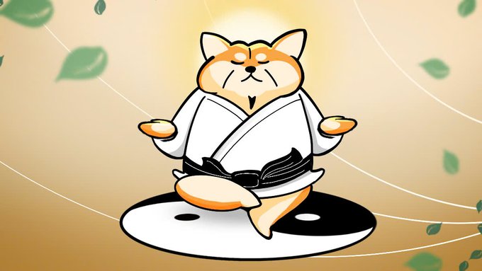 The image features a cartoon cat wearing a karate uniform, sitting cross-legged with its eyes closed as if meditating or practicing yoga. The background of the image consists of leaves scattered around, creating an impression of nature. The caption for this image reads "In Doge-OH. We Zen."