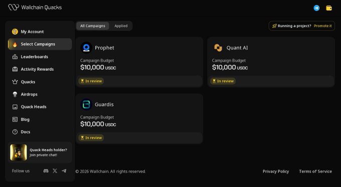 The image shows a screenshot of a website called "Wallchain Select!". The main focus of the image is an application screen that displays various options for users, including campaigns, budgets, and creators. The text in the image suggests that WallChain Select offers payment services for creators who want to target specific audiences with their content or products. This type of service can be beneficial for both creators and brands looking to reach a particular audience effectively.