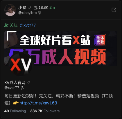 This image is a screenshot of a social media post featuring content related to adult videos and a Telegram link, with the username @xiaoyibtc prominently displayed. The accompanying post discusses following "big shots" in trading coins, suggesting a possible, though incongruous, connection to the visual content.