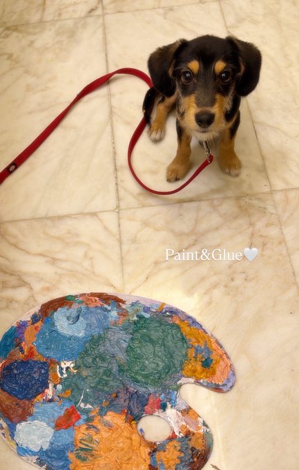 A small brown and black puppy with a red leash sits on a marble floor next to an artist's paint palette and the text "Paint&Glue" with a heart emoji.