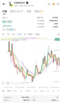A mobile screenshot of a trading app showing the CASHCAT token (contract 0x2048) priced at $0.157 with a +47.42% increase, displaying a candlestick chart and 24-hour market data.