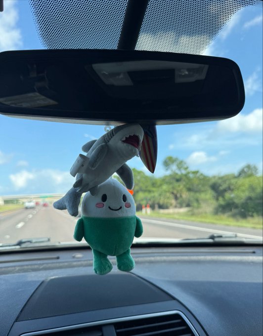 Two plush mascots—a gray shark and a green-cupped smiling character—hang from a car's rearview mirror while driving down a sunny highway, with the shark sporting a small American flag hat.

The image playfully visualizes the post's theme of the $CUPSEY memecoin, with the green cup-shaped character representing the "CUPSEY" token and the shark possibly symbolizing the bullish momentum pushing it toward the moon.