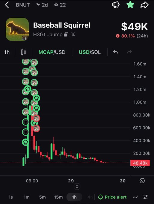 A cryptocurrency trading chart for 'Baseball Squirrel' showing a price of $49K with an 80.1% drop in 24h, displaying a sharp decline from ~1.6m on a 1h timeframe.