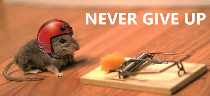 A small mouse wearing a red helmet sits on a wooden floor, gazing at a mousetrap baited with cheese, accompanied by the text 'NEVER GIVE UP'.