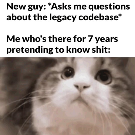 The image shows a cat with white fur, looking up at something or someone above its head. The text overlay of the image reads "New guy?: Asks me questions about the legacy codebase?". The cat's gaze is directed towards the camera, creating an interesting visual contrast between the viewer and the subject.