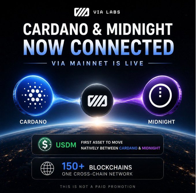A promotional graphic by VIA Labs announcing their mainnet launch, connecting Cardano and Midnight to 150+ blockchains, with USDM as the first asset moving natively between the two ecosystems. The image displays four featured wallets (TMA420, Jimothy, and CATE) with their holdings and performance metrics, showing TOAD at 1.3% ownership and Jimothy up 44% in 24 hours.