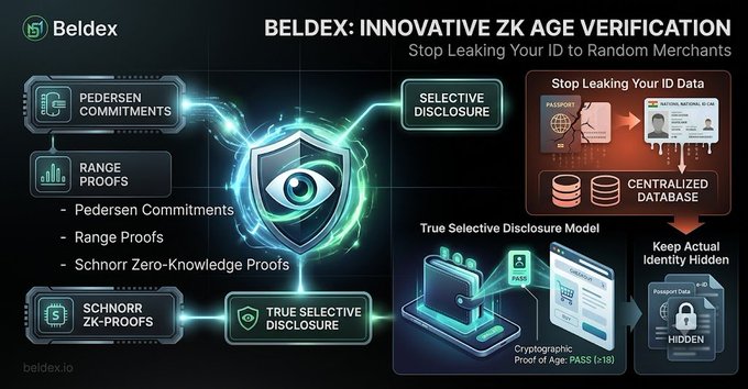 An infographic titled 'BELDEX: INNOVATIVE ZK AGE VERIFICATION' illustrating how zero-knowledge proofs protect user identity data, with sections on Pedersen Commitments, Range Proofs, and Schnorr ZK-Proofs.