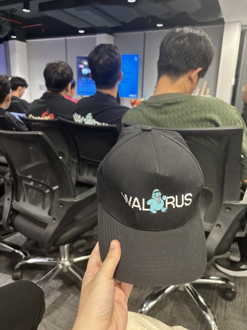 A hand holding up a black baseball cap with the word 'WALRUS' embroidered in white alongside a blue walrus logo, with an office setting visible in the background.