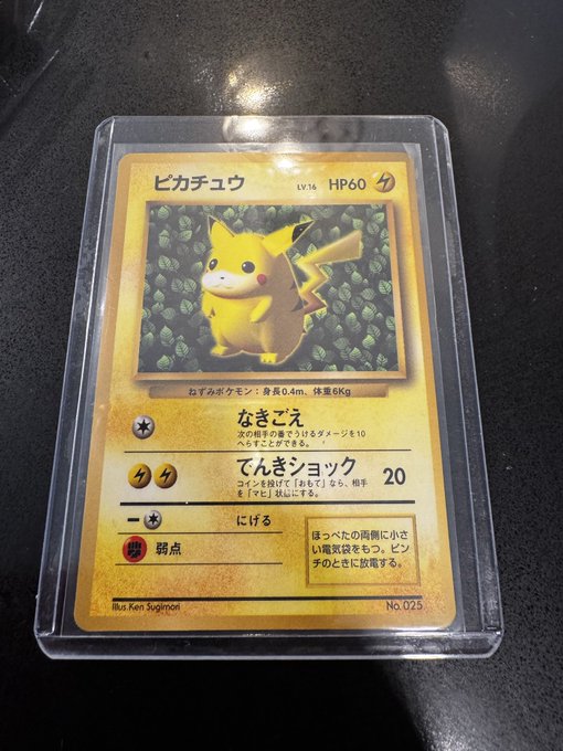 A Japanese Pokémon trading card featuring Pikachu (ピカチュウ, No.025) with HP60 and attacks "なみだめ" and "でんきショック" is encased in a protective sleeve.