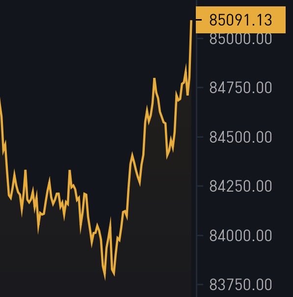 An orange line chart displays Bitcoin's price rising back up to $85,091.13 after dipping below $84,000, visually confirming the post's claim that BTC has recovered to that level.