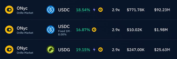 A cryptocurrency dashboard showing three OnRe Market (0Nyc) entries paired with USDC (18.54%), USDC Fixed (16.87%), and USDG (19.15%) with their respective values.