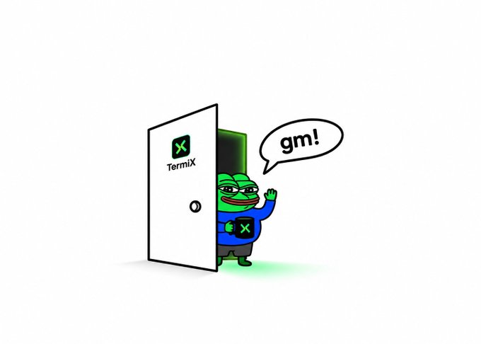 A cartoon Pepe the Frog character wearing a TermiX-branded shirt peeks out from behind a white door labeled 'TermiX' with a speech bubble saying 'gm!'.