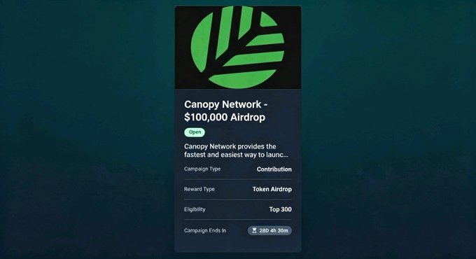 A dark-themed promotional graphic for the Canopy Network (CNPYNetwork) Creator Leaderboard airdrop campaign featuring the green leaf logo, announcing a $100,000 token airdrop with details listing "Contribution" as the campaign type, "Token Airdrop" as the reward, and eligibility limited to the "Top 300" participants, with approximately 28 days and 30 minutes remaining on the campaign timer.