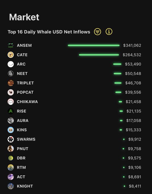The image displays a "Market" chart titled "Top 16 Daily Whale USD Net Inflows," listing tokens ranked by whale buying activity, with $ANSEM leading at $341,062 and $CATE second at $264,532, followed by tokens like ARC ($53,490), NEET ($50,548), and TRIPLET ($46,708) rounding out the top five. The visualization directly supports the post's highlight of ANSEM and CATE dominating yesterday's whale inflows among Solana runners, with green bars visually emphasizing the significant gap between the top two tokens and the rest of the list.