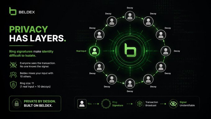 A promotional graphic for Beldex explaining privacy technology, featuring the tagline 'PRIVACY HAS LAYERS' and illustrating ring signature cryptography with one real input surrounded by 10 decoys.