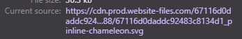 A code snippet shows a file source URL ending in 'inline-chameleon.svg' with a file size of 30.5 KB.