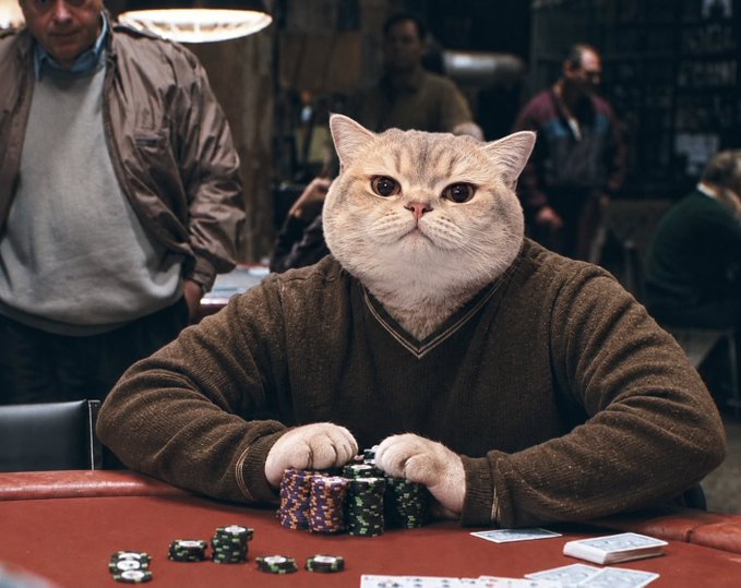 An AI-generated image of a cat's head on a human body wearing a brown sweater, sitting at a poker table with chips.