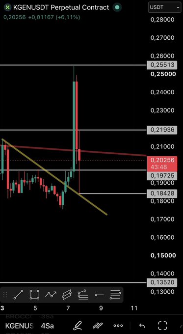 The image shows a KG/USDT perpetual contract candlestick chart on the 4-hour timeframe, with the current price at $0.20256 (+6.11%), illustrating the bullish breakout above the $0.19725 resistance followed by a rejection near $0.25 and a sharp pullback consistent with the post's description of a liquidity grab and potential team sell-off.