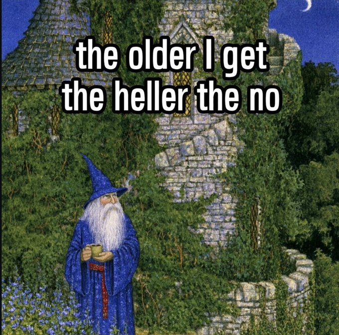 The image is a painting of a wizard with a long white beard, blue robes, and a pointed blue hat, holding a cup while standing in front of a stone tower covered in ivy, with the text "the older I get the heller the no" overlaid at the top.