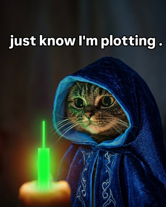 The image features a cat wearing a blue robe, possibly a wizard's outfit, with its eyes wide open as if it were staring at something or someone. The cat appears to be holding a green candle that glows brightly against the dark background. Below the image, there is text that reads "Just know I'm plotting."