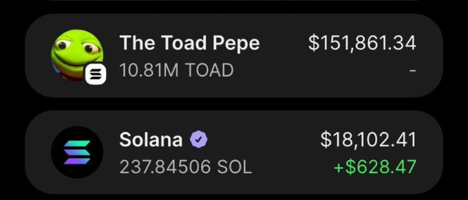 A crypto portfolio screenshot displays a balance of 10.81M TOAD tokens ("The Toad Pepe") valued at $151,861.34 alongside 237.85 SOL worth $18,102.41 (+$628.47), visually reinforcing the post's claim of over $140k in profit on $TOAD by showcasing the memecoin holdings that generated the gains.