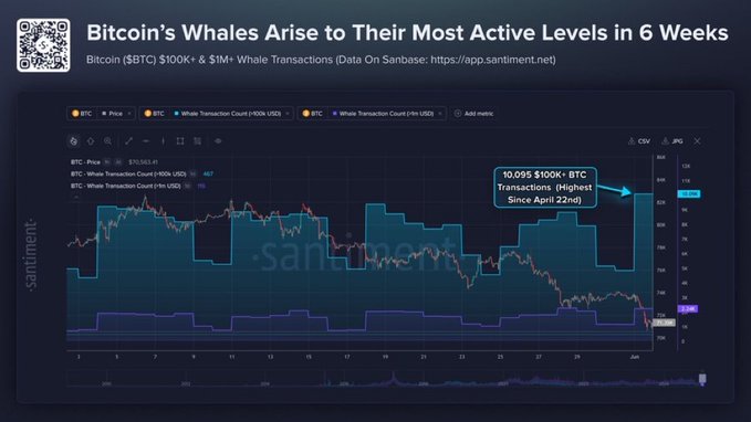 The image shows an active trading dashboard with several points of information including Bitcoin whale activity, market data, and news. The title at the top reads "BTC Whales Arise to Their Most Active Levels In 6 Weeks". The largest point on the graph is labeled as a $100K+ transaction that has been active for six weeks. The graph shows Bitcoin's trading activity over time with large price movements indicating active trading by prominent players, and it also includes a news report about the market trends in cryptocurrency trading.