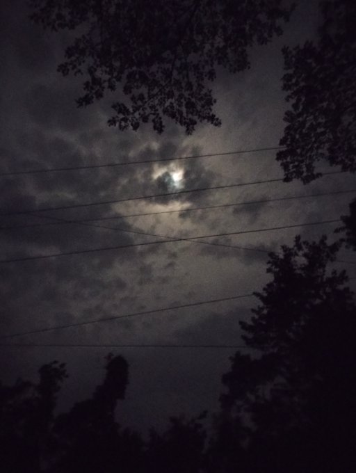 A moon shines through cloudy night sky above silhouetted tree branches and power lines, casting a serene glow over the darkened landscape.