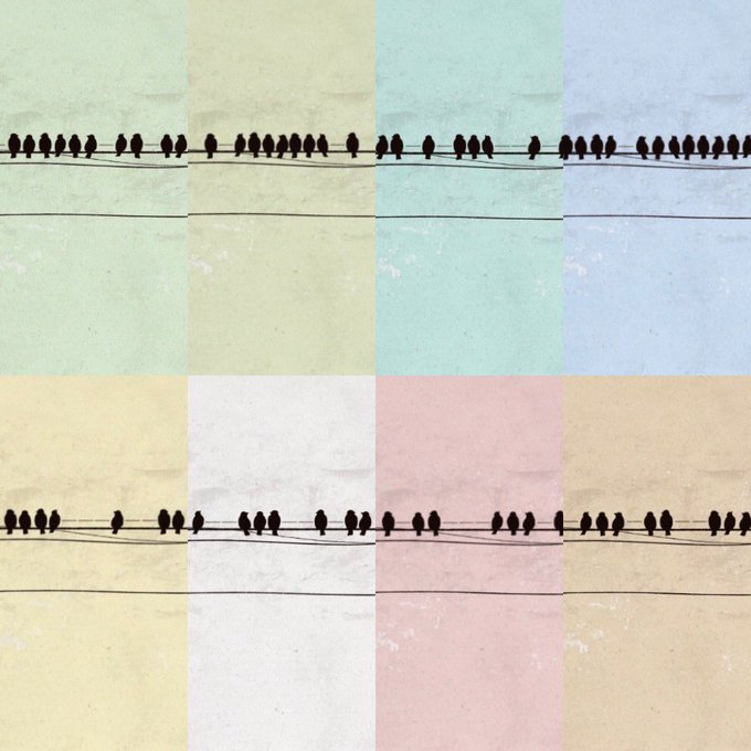 A photograph showing numerous black birds perched on two horizontal wires against a wall painted in a grid of pastel colors including green, yellow, pink, and blue.