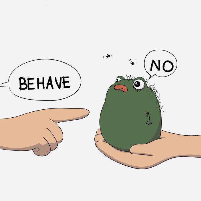 A cartoon frog sits in one hand while another points at it, with speech bubbles reading "BEHAVE" and "NO," playfully illustrating the tension between disciplining a meme coin's hype and letting it have fun—mirroring the post's question about whether $Pistacio will sustain its run or just be a fleeting moment.
