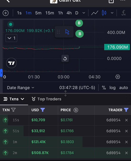 A TradingView chart of 'Cash Cat' token showing a price of 176.090M with recent buy transactions visible in the Txns section, including large USD amounts from trader '6d0054'.