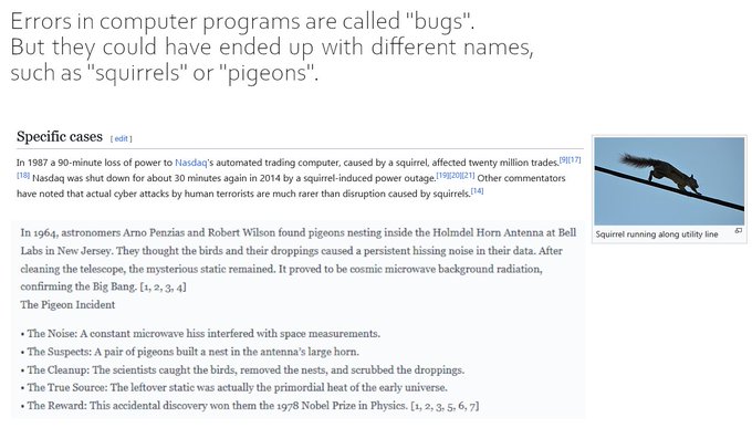 An informational text page explaining why computer errors are called 'bugs,' with a section on specific cases including a 1987 Nasdaq squirrel incident and the 1964 Penzias and Wilson pigeon incident at Bell Labs that led to the Big Bang discovery.