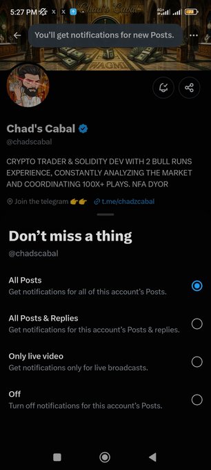 A screenshot of a Twitter/X profile for 'Chad's Cabal' (@chadscabal), describing the user as a 'CRYPTO TRADER & SOLIDITY DEV WITH 2 BULL RUNS EXPERIENCE, CONSTANTLY ANALYZING THE MARKET AND COORDINATING 100K+ PLAYS, NFA DYOR'. The page shows notification settings.