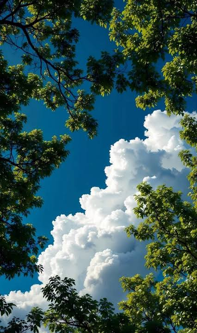 Nature photograph looking up through green tree branches at a bright blue sky filled with fluffy white cumulus clouds.