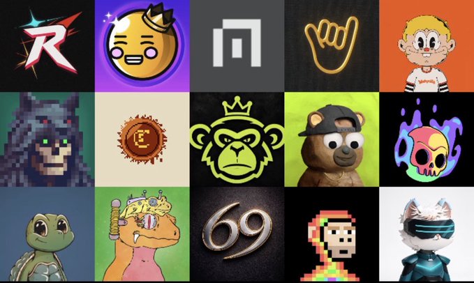 A grid displays 15 various meme coin logos and characters, including recognizable figures like a pixelated wizard, a crowned monkey, a turtle, and a cartoon boy in a white shirt.