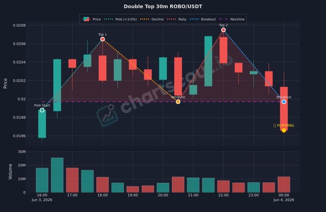 The image displays a chart with the name ROBO/USDT (Double Top Setup Suggested). A line graph shows the chart, which highlights the top-down perspective of the trendline. The graph also provides information about the robot number associated with this setup and the price action of the chart itself.
